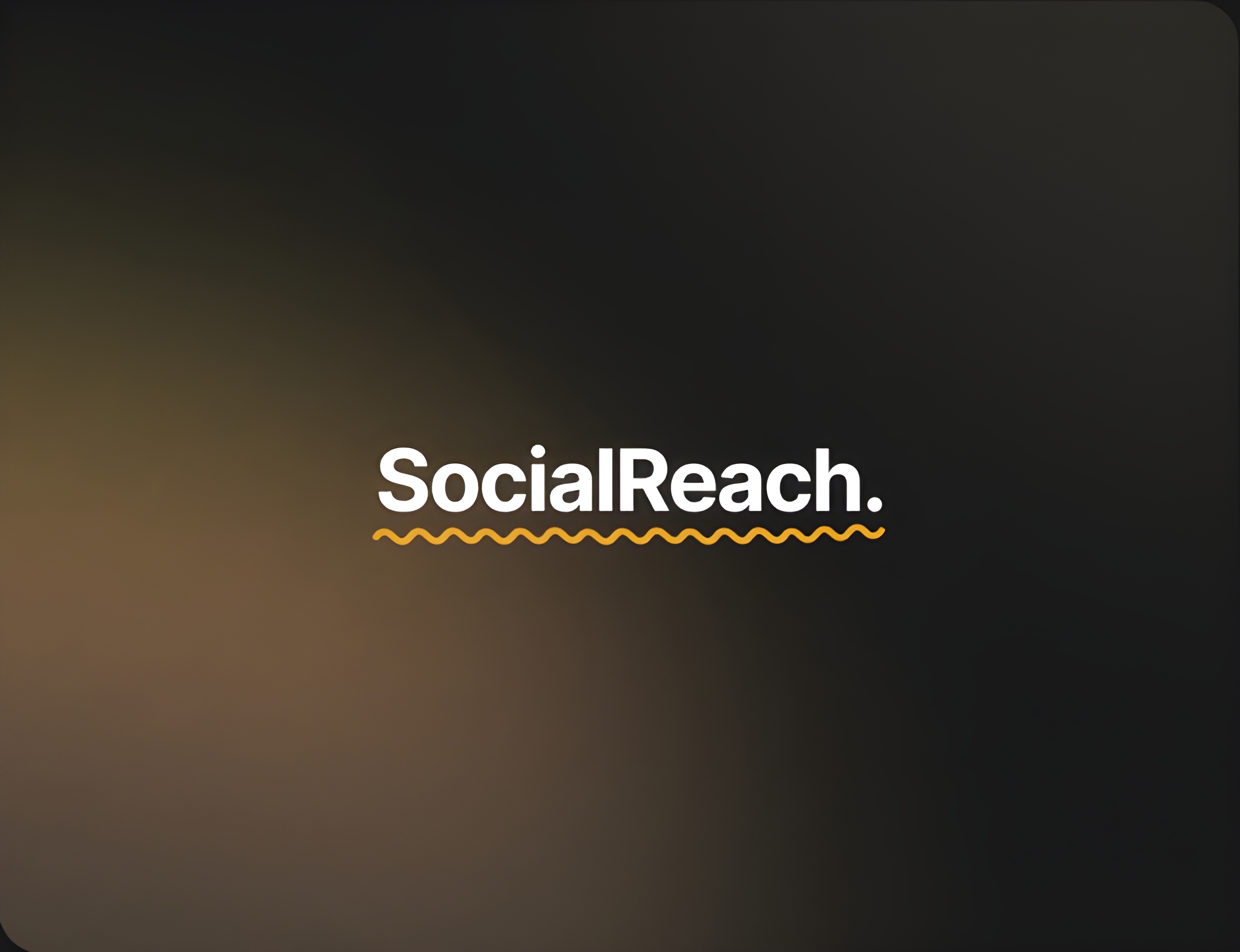Social Reach Team Background